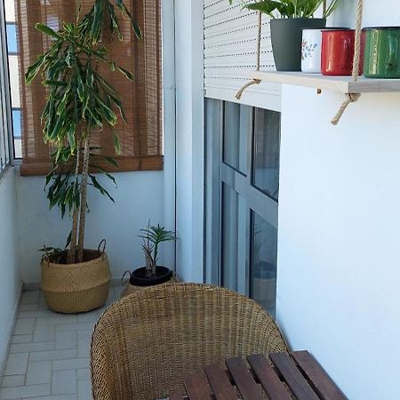 Cedofeita 408, Green Porto Exteriér fotografie